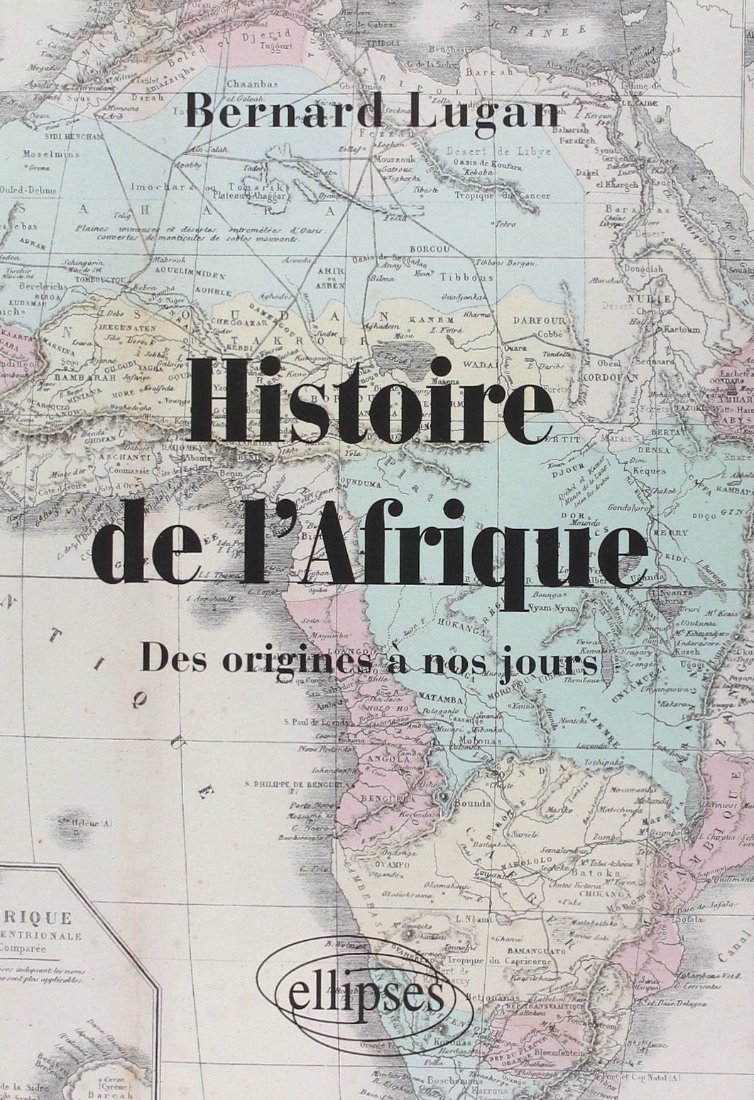 Histoire de l'Afrique des origines à nos jours, 2009, 1245 p.