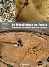 Le Mésolithique en France. Archéologie des derniers chasseurs-cueilleurs, 2010, 177 p.