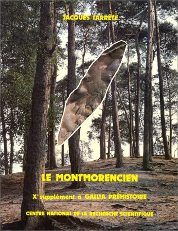 Le Montmorencien (Suppl. à Gallia-Préh. 10), 1977, 230 p., 98 ill. 