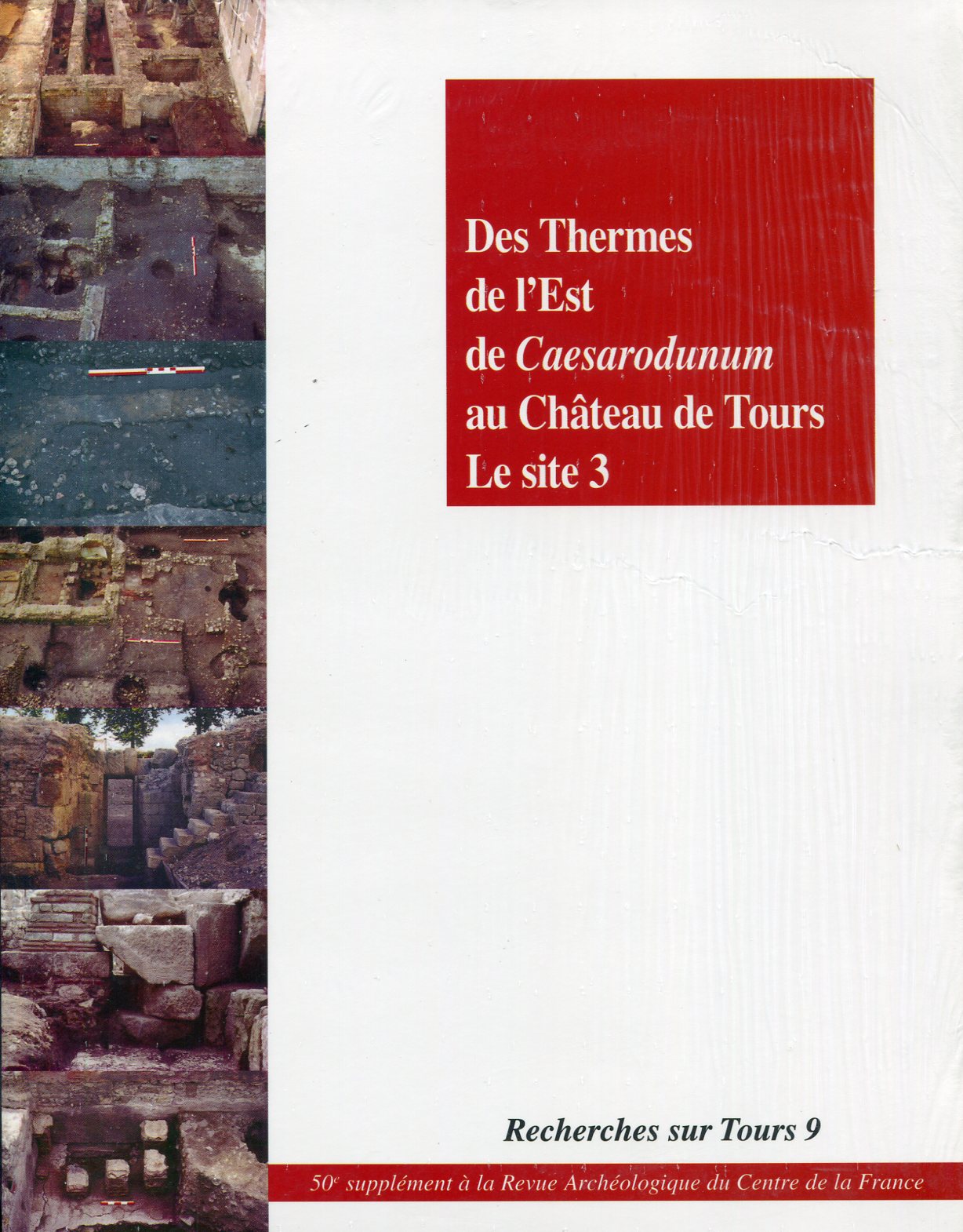 Des Thermes de l'Est de Caesarodunum au Château de Tours. Le site 3, (Recherches sur Tours 9), (50e Suppl. RACF), 2014, 180 p.