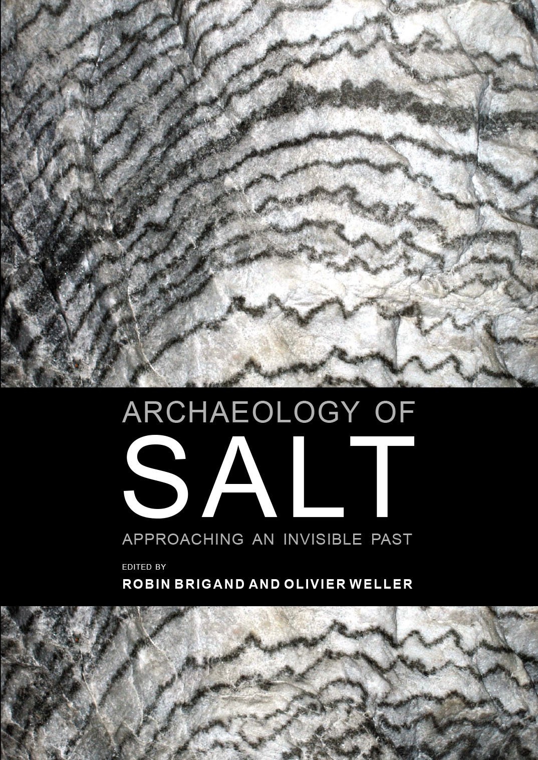 Archaeology of Salt. Approaching an invisible past, 2015, 228 p.