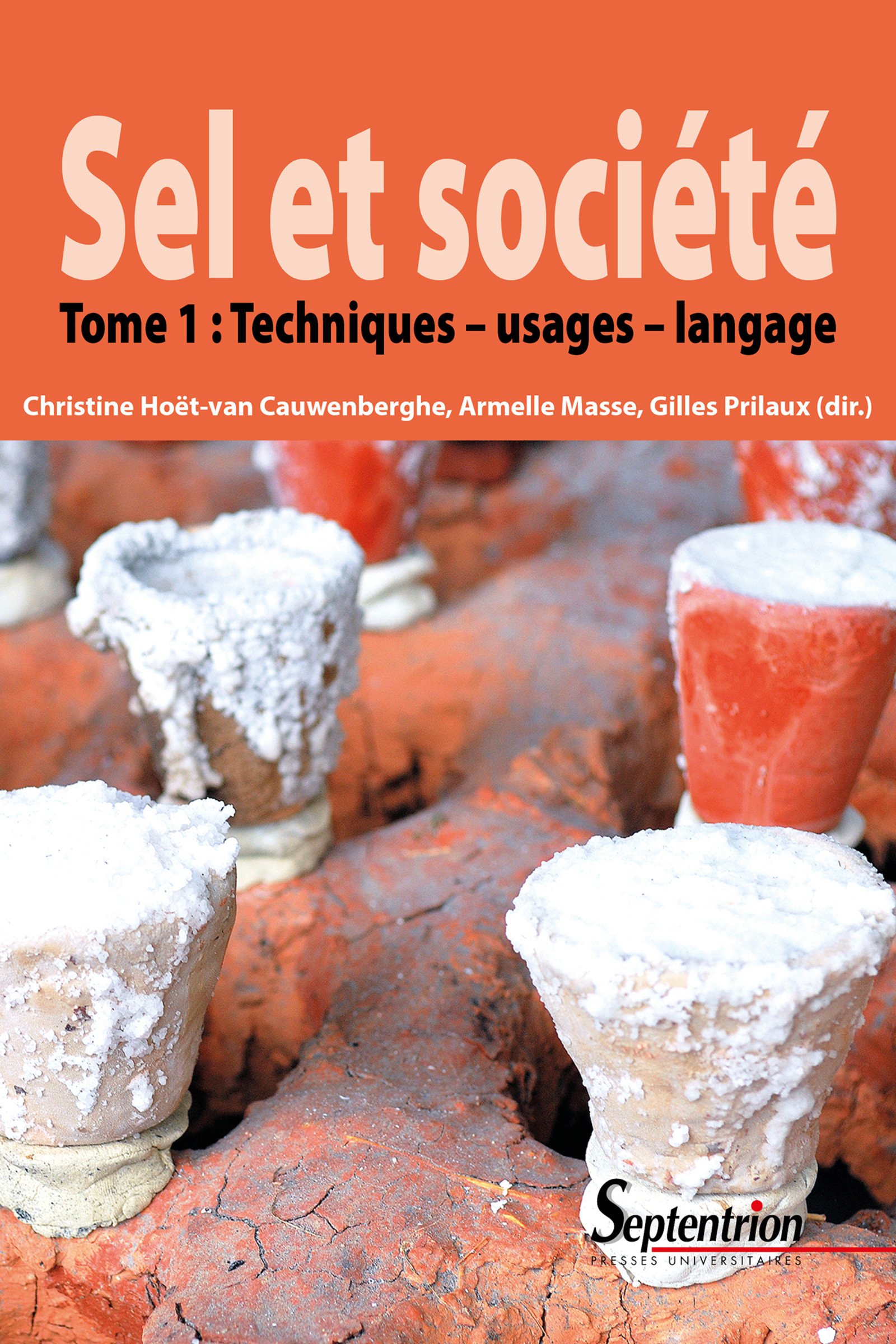 Sel et société. Tome 1: Techniques, usages, langage, 2017, 274 p.