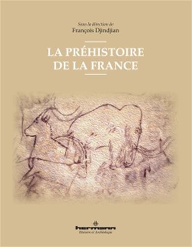 La préhistoire de la France, 2018, 470 p.