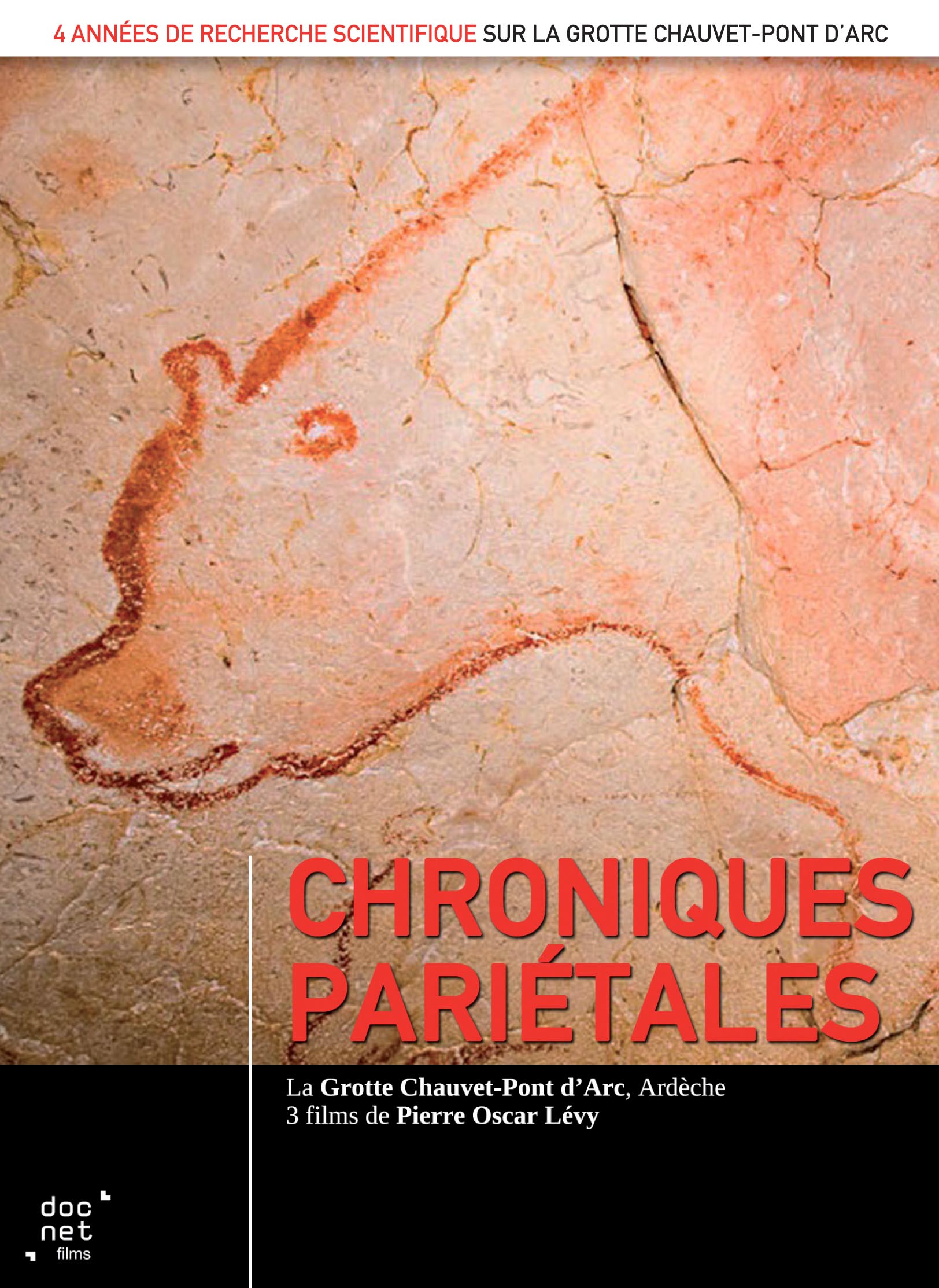 Chroniques pariétales. La grotte Chauvet-Pont d'Arc, Ardèche. 3 films de Pierre Oscar Levy, 2016. 2 DVD. Durée : 2h41.