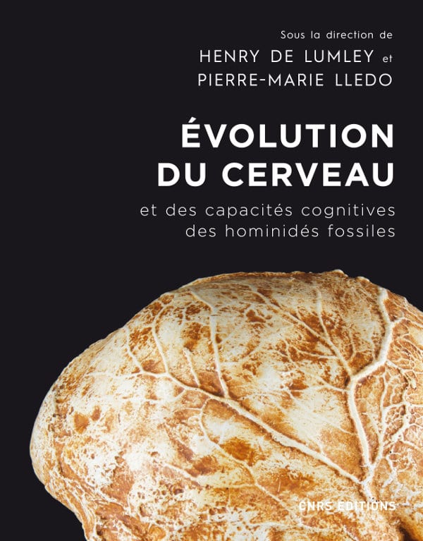 Évolution du cerveau et des capacités cognitives des hominidés fossiles, depuis Sahelanthropus tchadensis il y a sept millions d'années jusqu'à l'Homme moderne, 2019, 332 p.