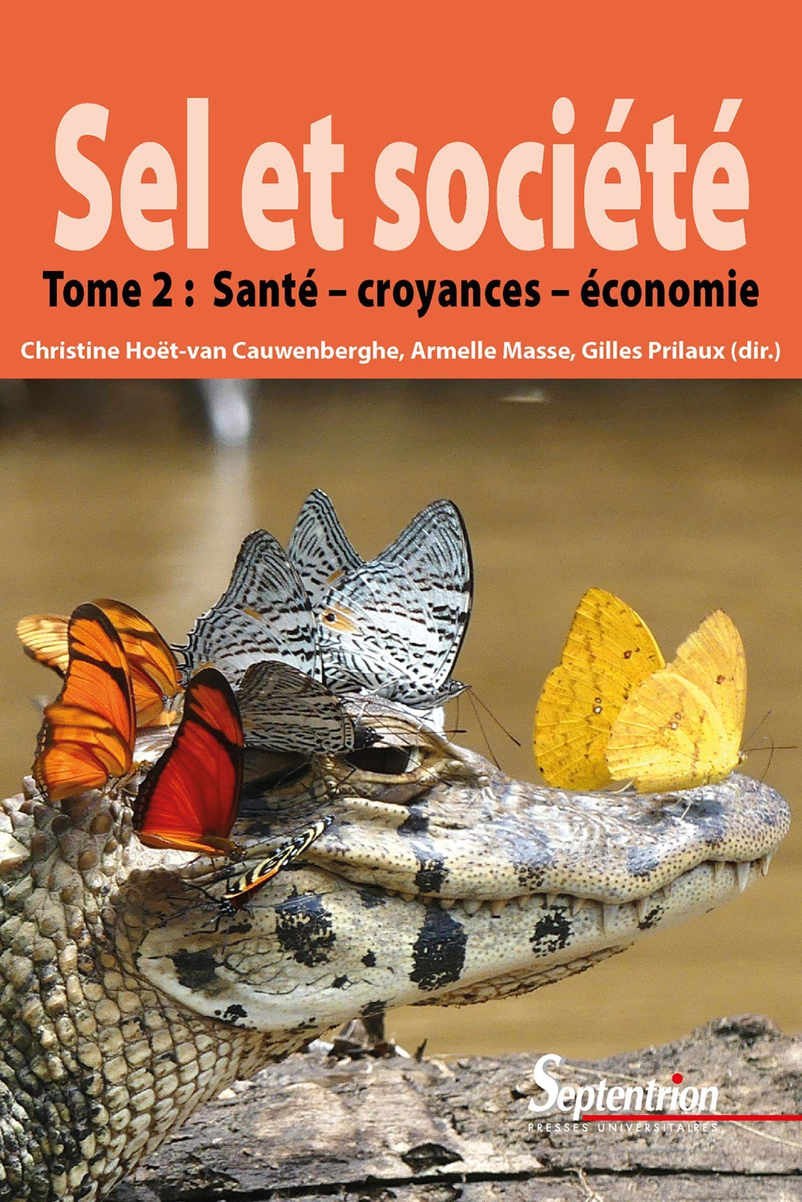 Sel et société. Tome 2, Santé - croyances - économie, 2020, 526 p.