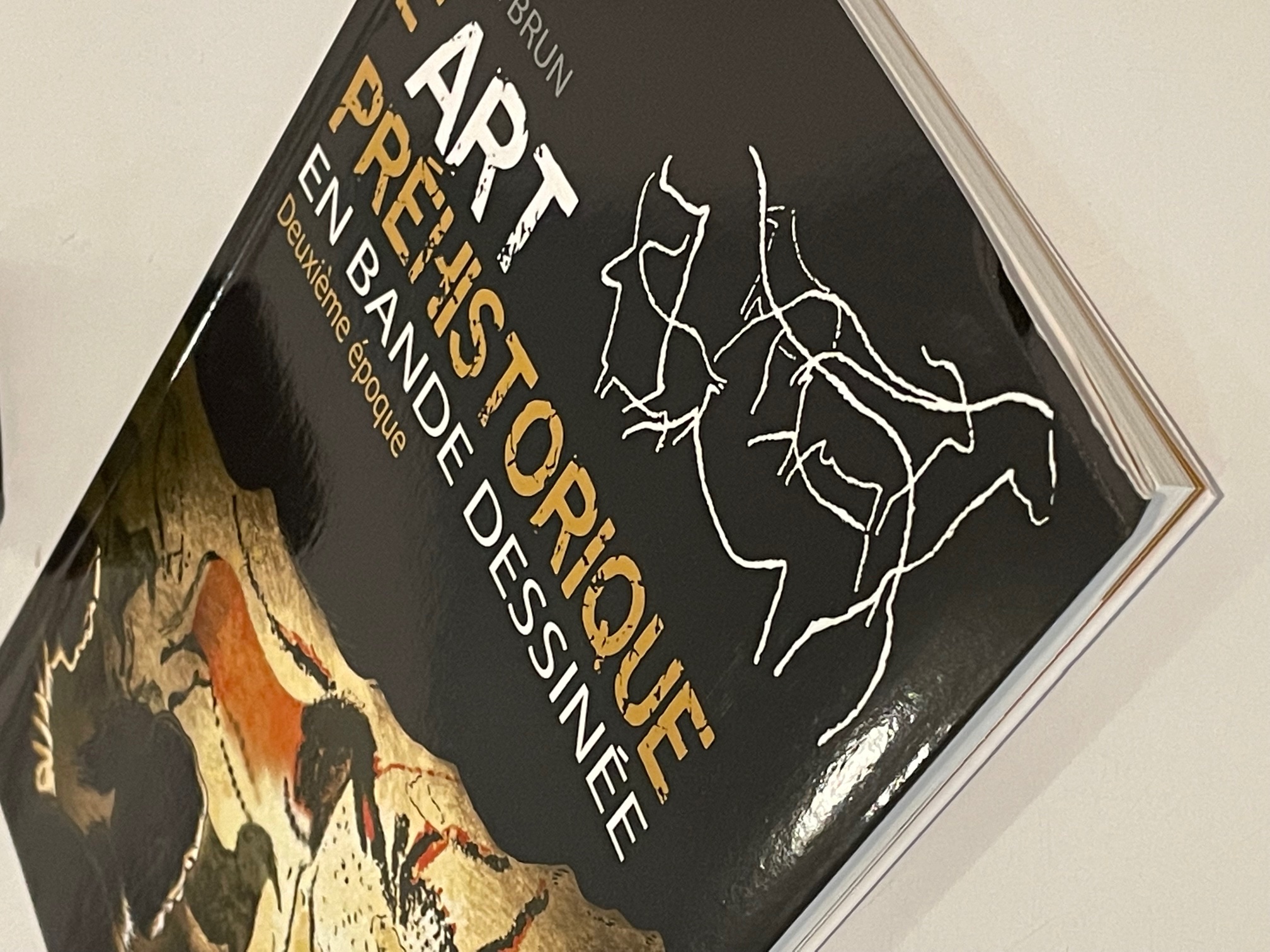 Exemplaire d'occasion - L'art préhistorique en bande dessinée. Deuxième époque, 2013, 80 p.