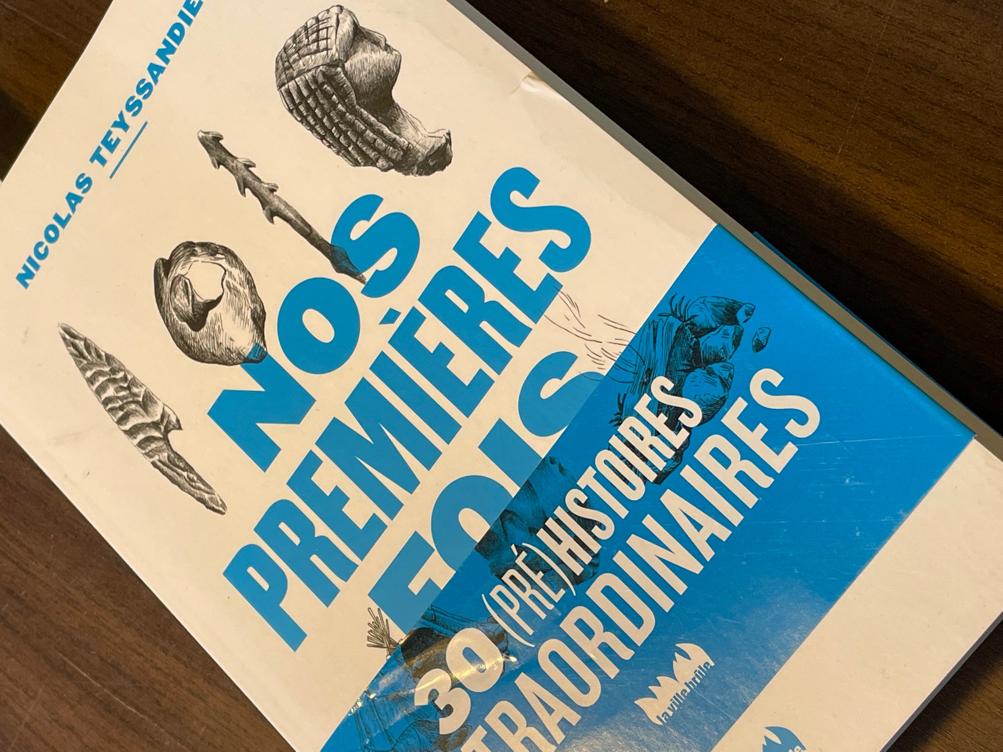 Exemplaire d'occasion - Nos premières fois. 30 (pré)histoires extraordinaires, 2019, 188 p.