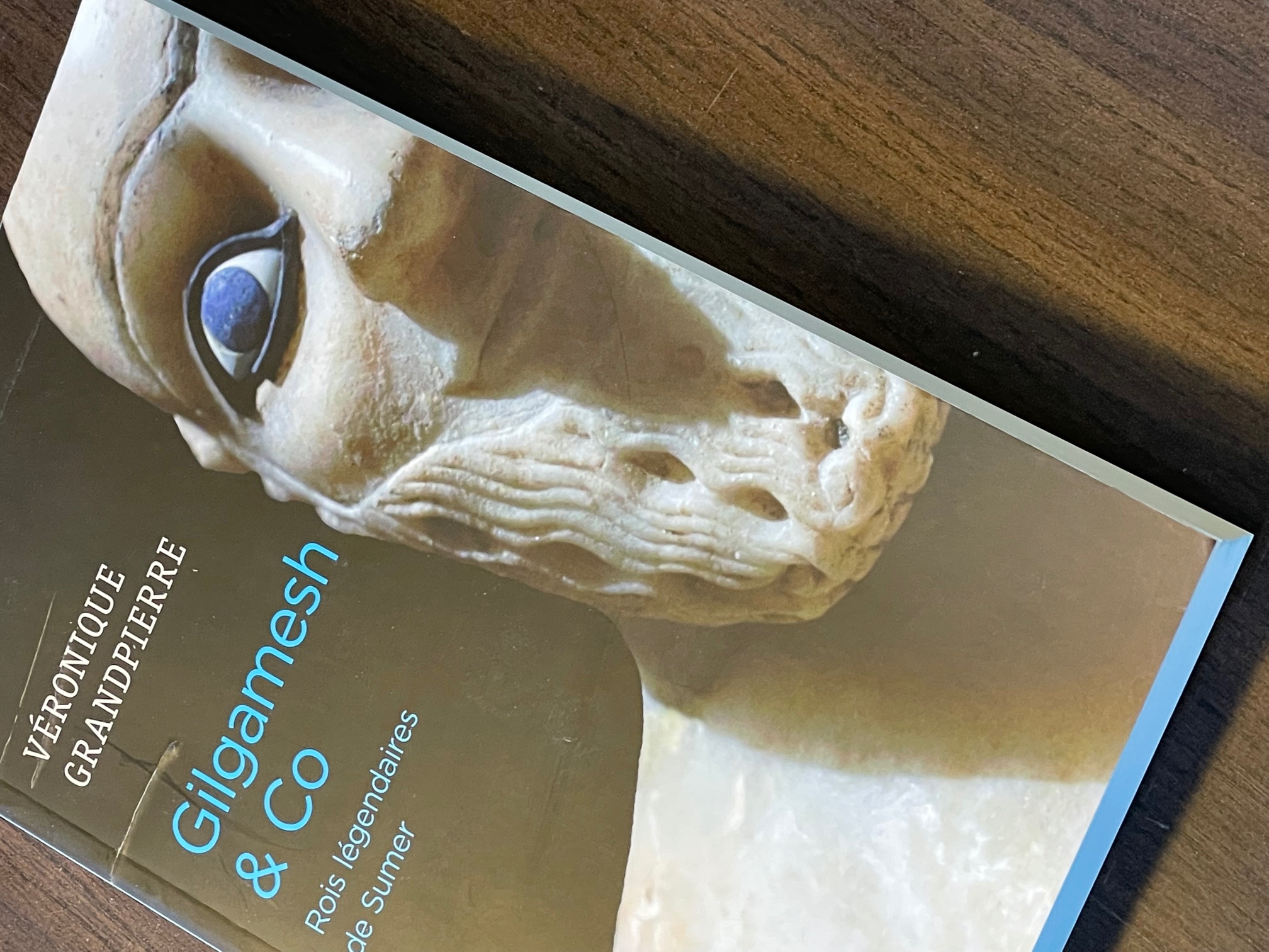 Exemplaire d'occasion - Gilgamesh & Co. Rois légendaires de Sumer, 2019, 260 p.