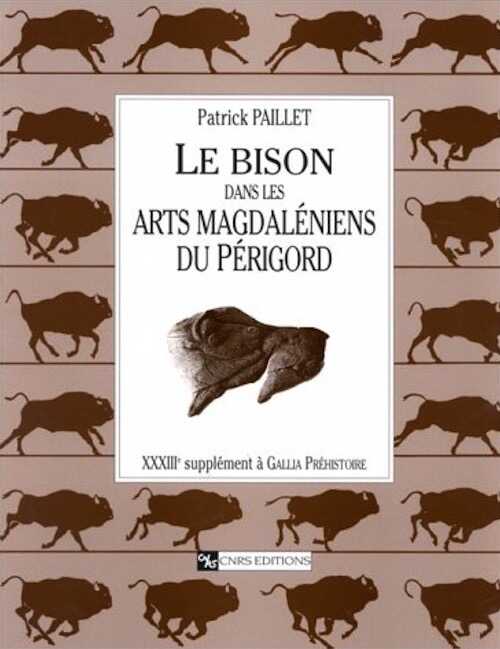ÉPUISÉ - Le Bison dans les arts magdaléniens du Périgord (Suppl. Gallia Préh., 33), 1999, 475 p., 459 fig., 16 tabl.