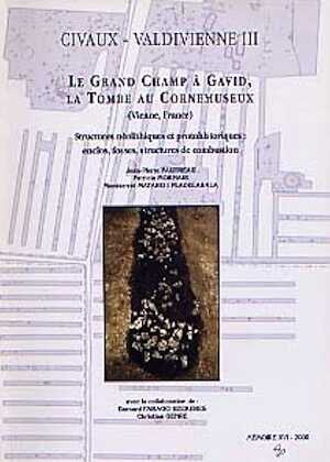 Civaux - Valdivienne III : Le Grand Champ à Gavid, la Tombe au Cornemuseux (Vienne, France). Structures néolithiques et protohistoriques : enclos, fosses, structures de combustion (Mém. XVI), 2000, 123 p., 93 fig., 25 ph. n et bl. et coul.
