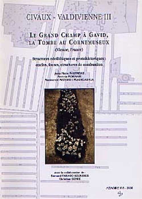 Civaux - Valdivienne III : Le Grand Champ à Gavid, la Tombe au Cornemuseux (Vienne, France). Structures néolithiques et protohistoriques : enclos, fosses, structures de combustion (Mém. XVI), 2000, 123 p., 93 fig., 25 ph. n et bl. et coul.