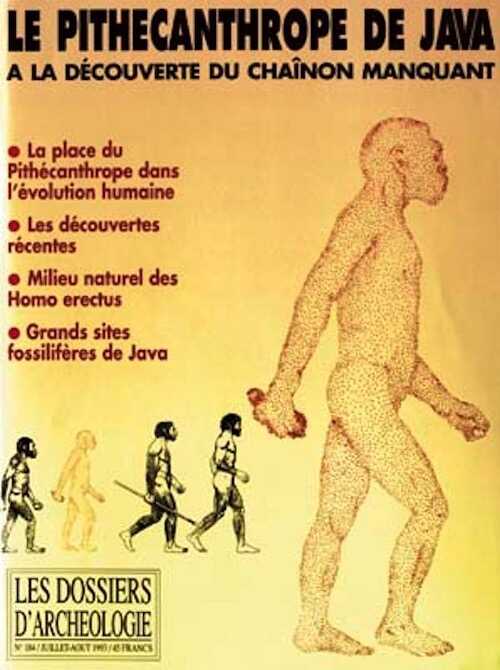 n°184. juill.-août 1993. Le Pithécanthrope de Java, à la découverte du chaînon manquant.