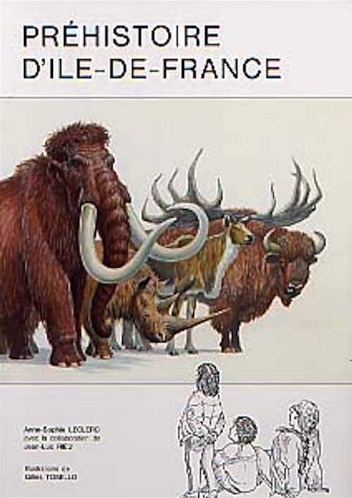 Préhistoire de l'Ile-de-France, 1993, 62 p.