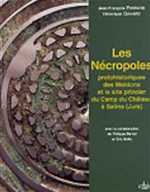 ÉPUISÉ - Les nécropoles protohistoriques des Moidons et le site princier du Camp du Château à Salins (Jura), 2004, 430 p.