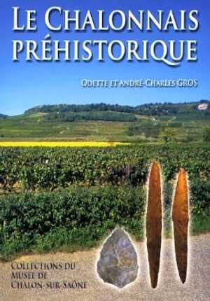 Le Chalonnais préhistorique. Collections du Musée de Chalon-sur-Saône, 2005, 214 p., ill. n.b. et coul.