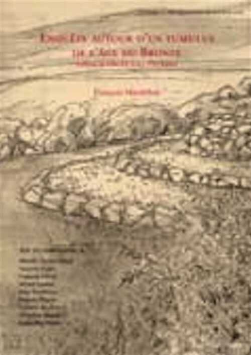 Enquête autour d'un tumulus de l'âge du Bronze : Vufflens-la-Ville, En Sency (VD, Suisse), (CAR 100), 2005, 160 p.