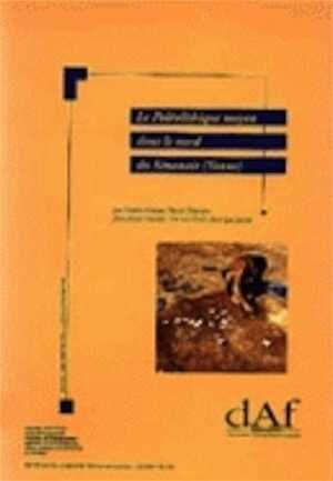Le Paléolithique moyen dans le nord du Sénonais (Yonne). Contexte géomorphologique, industries lithiques et chronostratigraphie (DAF 47), 1995, 280 p., 161 ill., 15 ph.