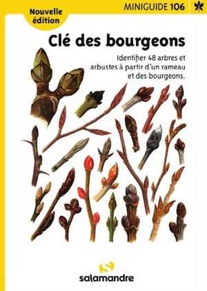 Clé des bourgeons. Identifier 48 arbres et arbustes à partir d'un rameau et des bourgeons, (Miniguide 106).