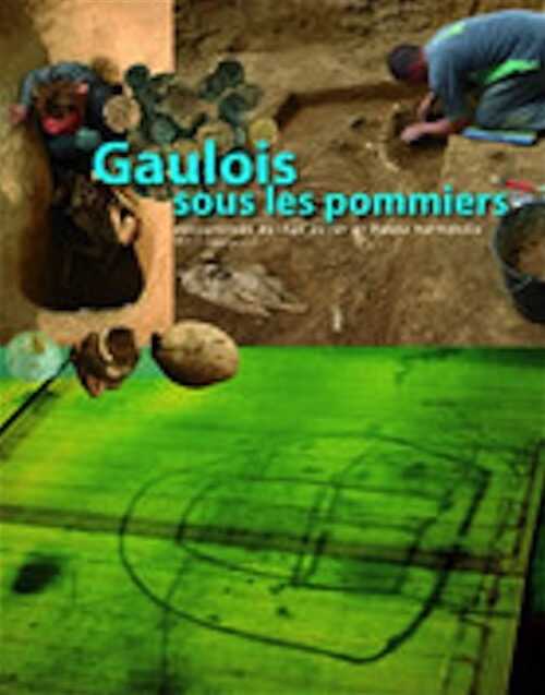 Gaulois sous les pommiers, découvertes de l'âge du Fer en Basse-Normandie, (cat. expo. Vieux-la-Romaine), 2009, 125 p.