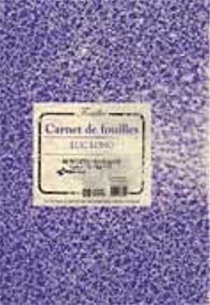 Carnet de fouille, 2009, 130 p., 80 dessins