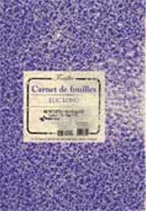 Carnet de fouille, 2009, 130 p., 80 dessins