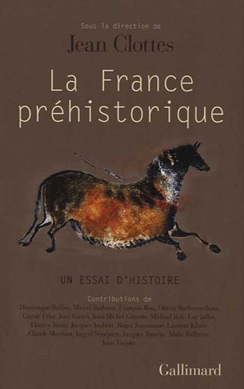 La France préhistorique. Un essai d'histoire, 2010, 576 p.