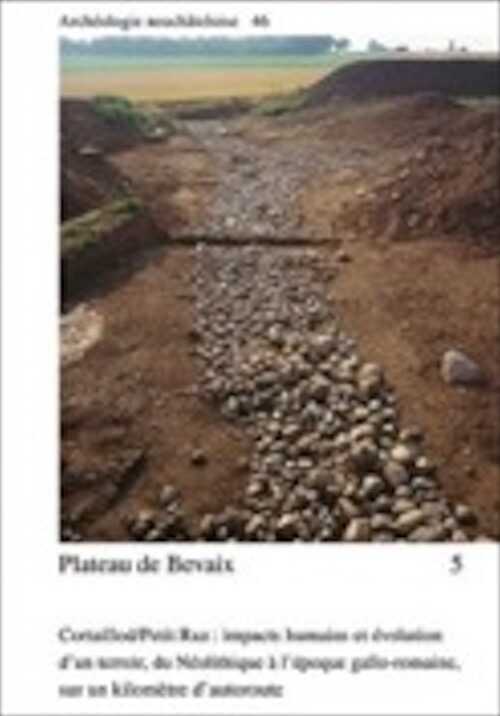 Plateau de Bevaix, 5. Cortaillod-Petit Ruz : impacts humains et évolution d'un terroir, du Néolithique à l'époque gallo-romaine, sur un kilomètre d'autoroute, (Archéologie neuchâteloise 46), 2011, 2 vol.