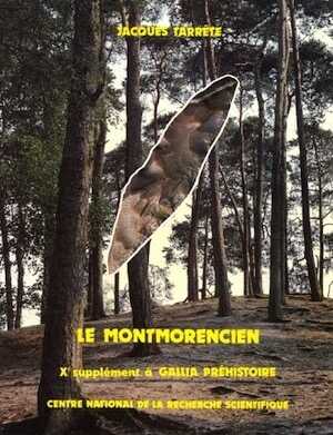 Le Montmorencien (Suppl. à Gallia-Préh. 10), 1977, 230 p., 98 ill.
