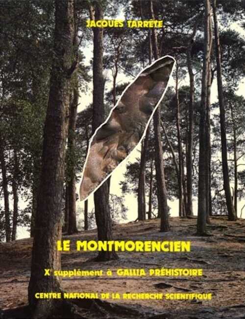 Le Montmorencien (Suppl. à Gallia-Préh. 10), 1977, 230 p., 98 ill.