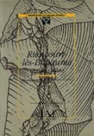 Riencourt-lès-Bapaume (Pas-de-Calais). Un gisement du Paléolithique moyen (DAF 37), 1993, 126 p., 81 fig.