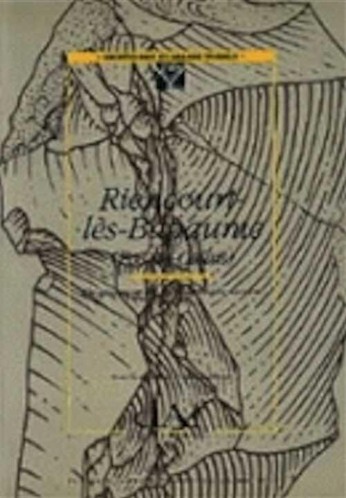 Riencourt-lès-Bapaume (Pas-de-Calais). Un gisement du Paléolithique moyen (DAF 37), 1993, 126 p., 81 fig.