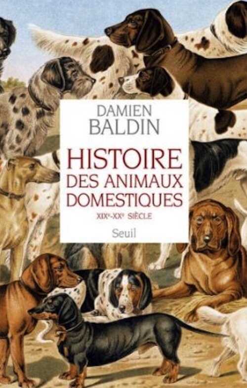 Histoire des animaux domestiques, XIXe-XXe siècle, 2014, 377 p.
