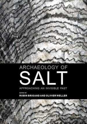Archaeology of Salt. Approaching an invisible past, 2015, 228 p.