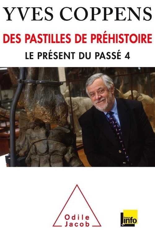 Des pastilles de préhistoire, (Le présent du passé 4), 2016, 192 p.