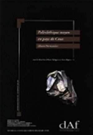 Paléolithique moyen en pays de Caux (Haute-Normandie) (DAF 56), 1996, 248 p., 131 fig.