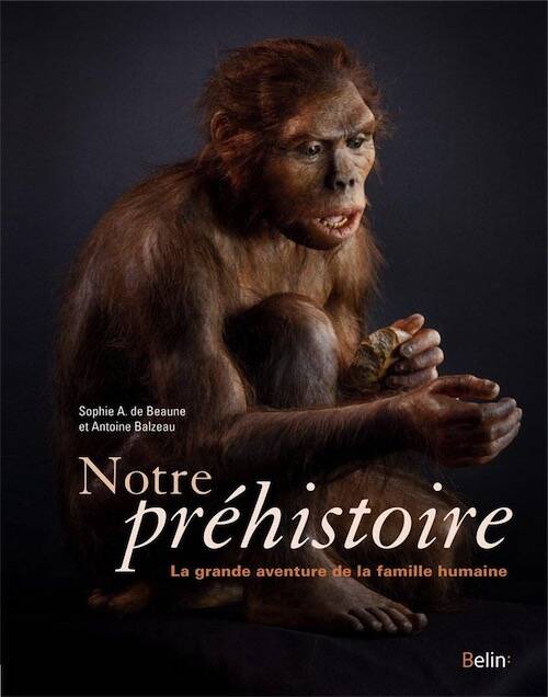 Notre Préhistoire. La grande aventure de la famille humaine, 2016, 208 p.