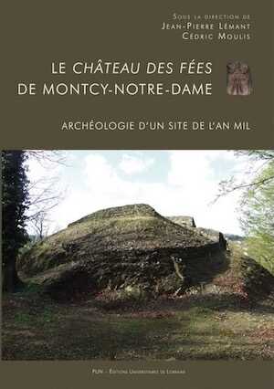 En rupture de stock - Le château des fées de Montcy-Notre-Dame. Archéologie d'un site de l'an Mil, 2016, 224 p.