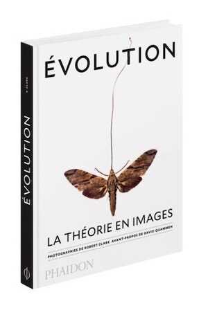 Evolution : La théorie en images, 2016, 240 p.