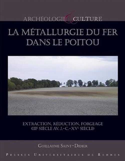 La métallurgie du fer dans le Poitou. Extraction, réduction, forgeage (IIIe siècle av. J.-C.-XVe siècle), 2017, 360 p.