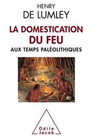 La Domestication du feu aux temps paléolithiques, 2017, 192 p.