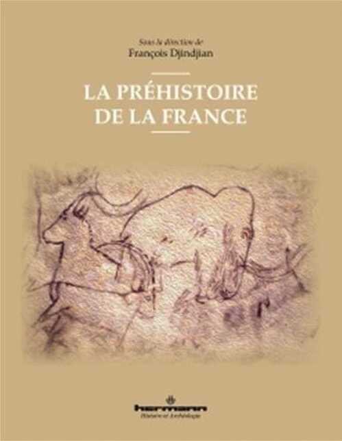 La préhistoire de la France, 2018, 470 p.