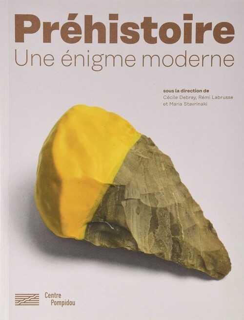 ÉPUISÉ - Préhistoire, une énigme moderne, 2019, 304 p.