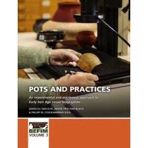 Pots and practices. An experimental and microwear approach to Early Iron Age vessel biographies, 2020, 206 p.