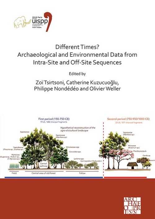 Different Times ? Archaeological and Environmental Data from Intra-Site and Off-Site Sequences, (actes 18e Congrès UISPP, Paris, juin 2018, Vol 4, Session II.8), 2020, 136 p.