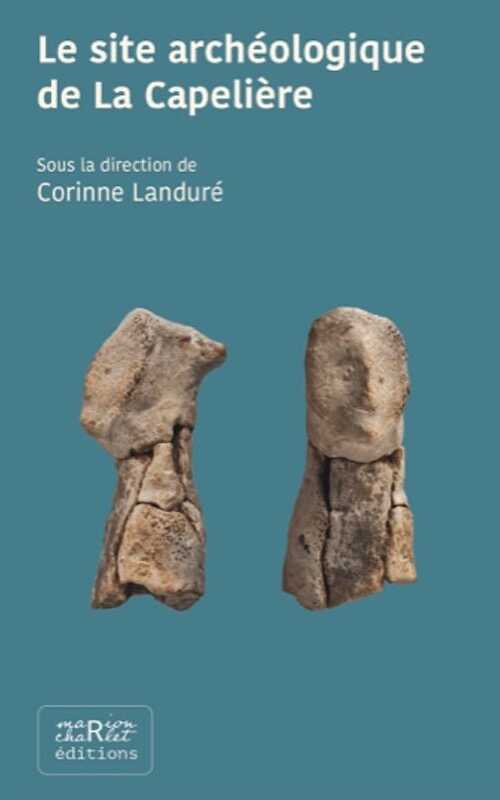 Le site archéologique de La Capelière. Vivre en Camargue pendant l'Antiquité, 2020, 160 p.