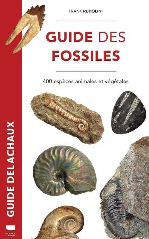 Guide des fossiles. 400 espèces animales et végétales, 2020, 288 p.