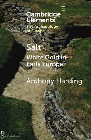 Salt. White Gold in Early Europe, 2021, 102 p.