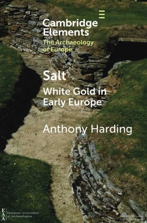 Salt. White Gold in Early Europe, 2021, 102 p.