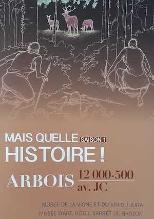 Mais quelle histoire ! Arbois, 12 000 - 500 av. J.-C. (Saison 1), 2021, 44 p.